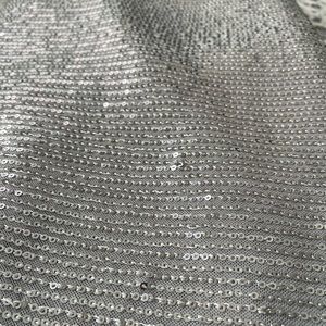 Silver/ gray sequined saree